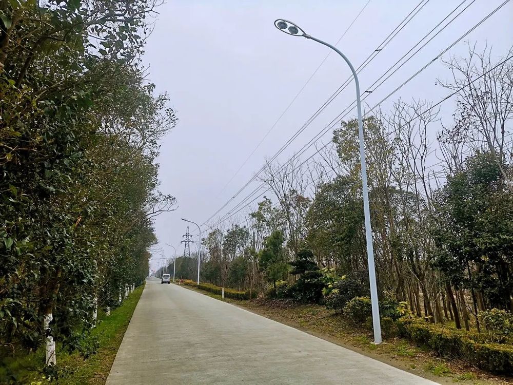 LED solar street lights illuminate the most beautiful riding road in the bay