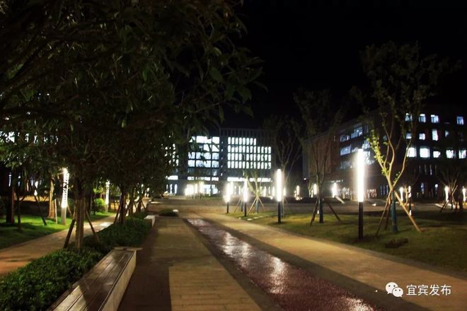 LED street lights make the night scene of the campus more beautiful