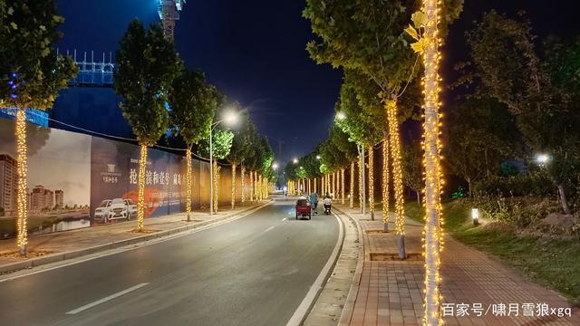 The plump colors of street lights decorate the beautiful night view of the park