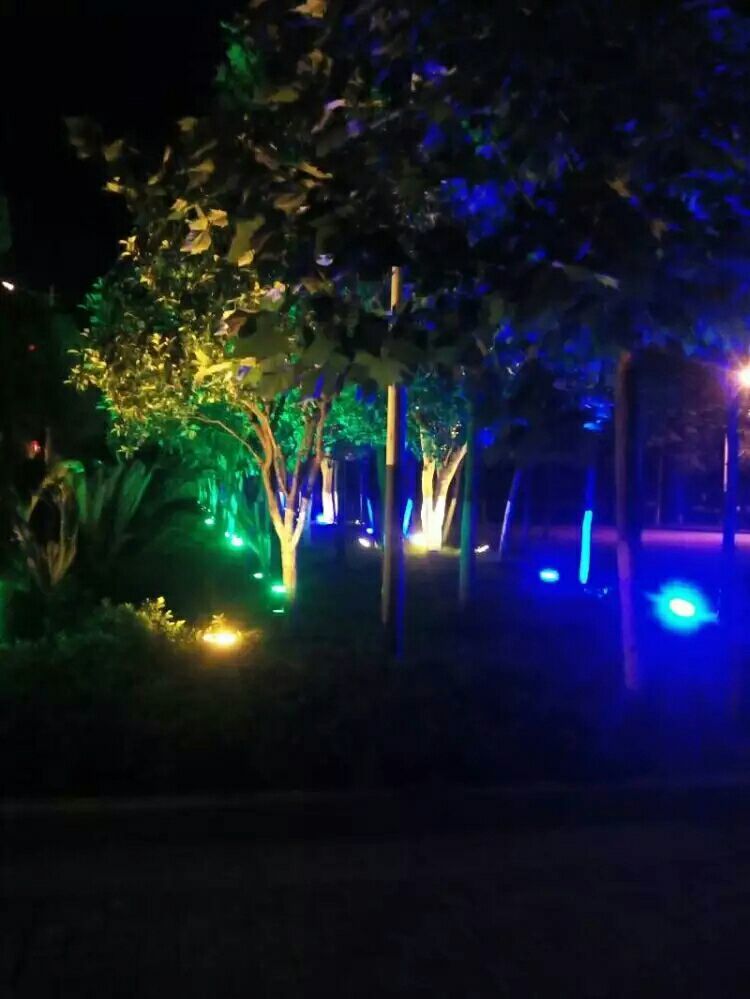 Pandangan malam yang indah, cahaya banjir dan lampu jalan di Park Community